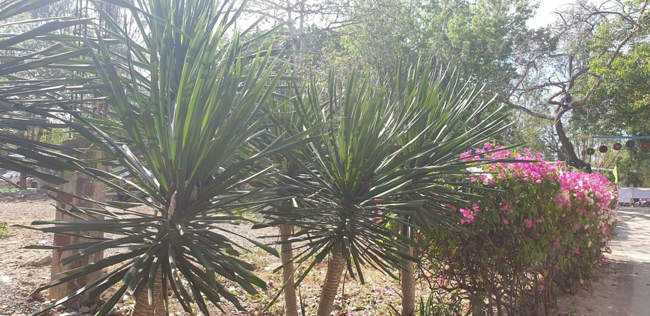 Mactan Newtown Condo With Garden And Ocean View 8Newtown Blvd Isla de Mactán Exterior foto